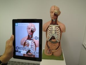 augmented reality, medical, 3d